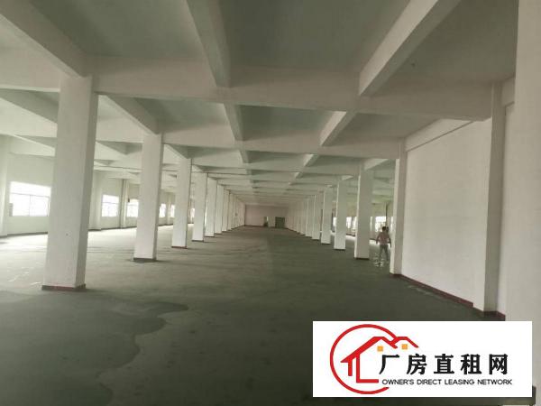  厚街下汴新出全新工业大厦招租每层2000平方