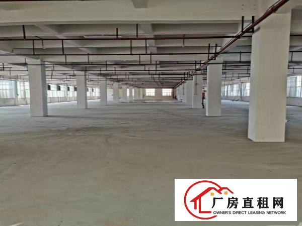  厚街下汴新出全新工业大厦招租每层2000平方