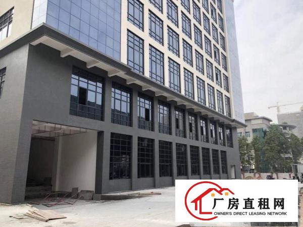  厚街下汴新出全新工业大厦招租每层2000平方