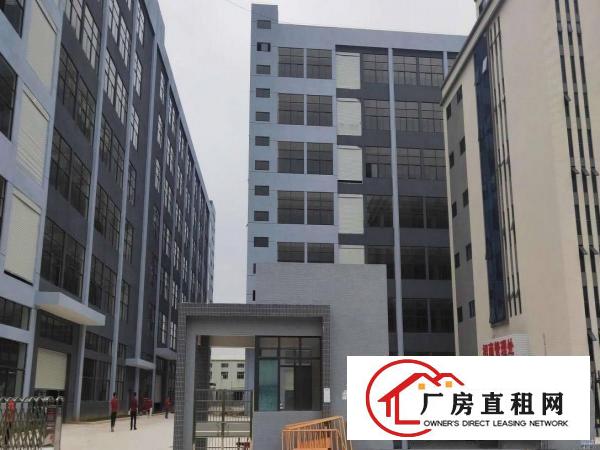  厚街下汴新出全新工业大厦招租每层2000平方