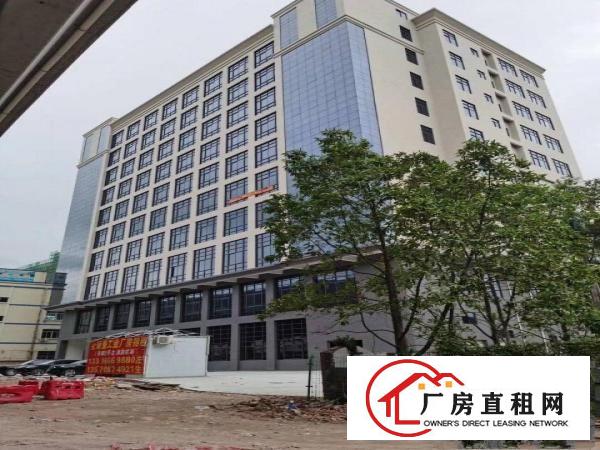  厚街下汴新出全新工业大厦招租每层2000平方