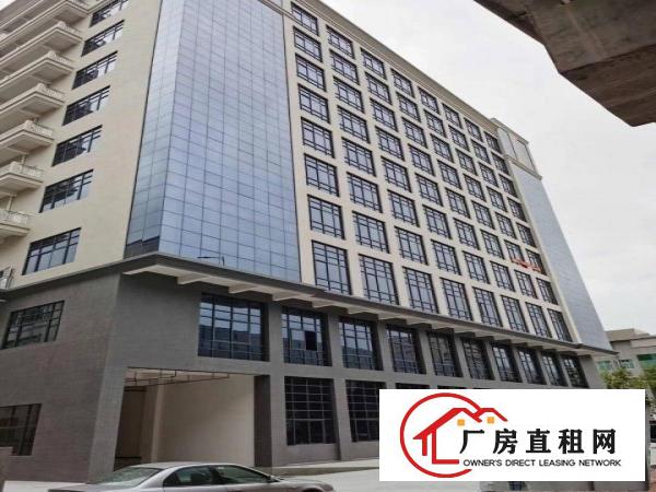  厚街下汴新出全新工业大厦招租每层2000平方