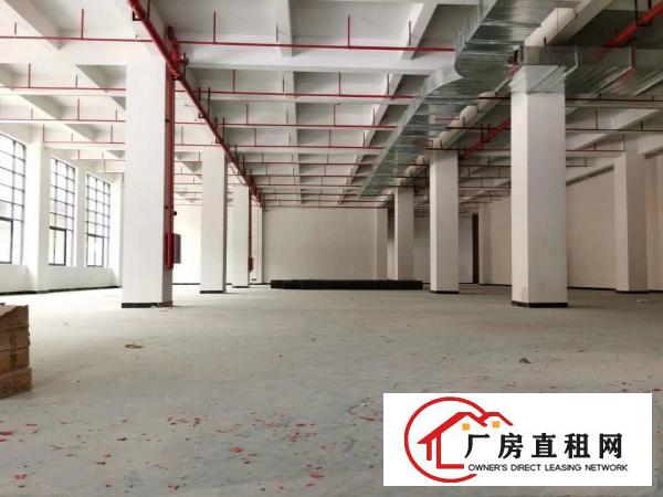  厚街下汴新出全新工业大厦招租每层2000平方