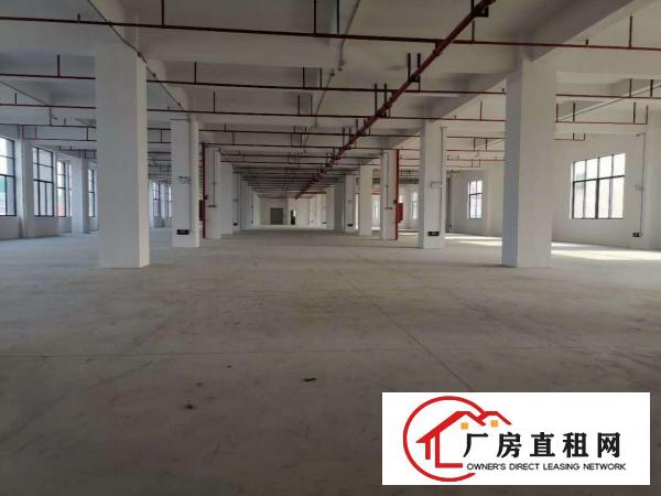  ！！！厚街下汴独院3楼的厂房，8楼的价格！！！