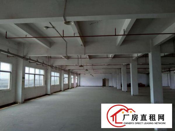  ！！！厚街下汴独院3楼的厂房，8楼的价格！！！