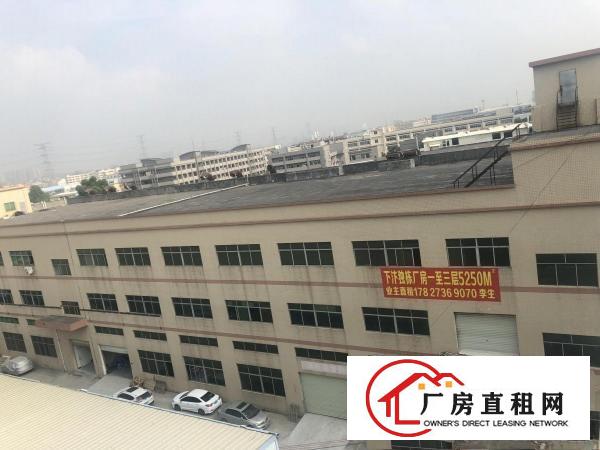  ！！！厚街下汴独院3楼的厂房，8楼的价格！！！