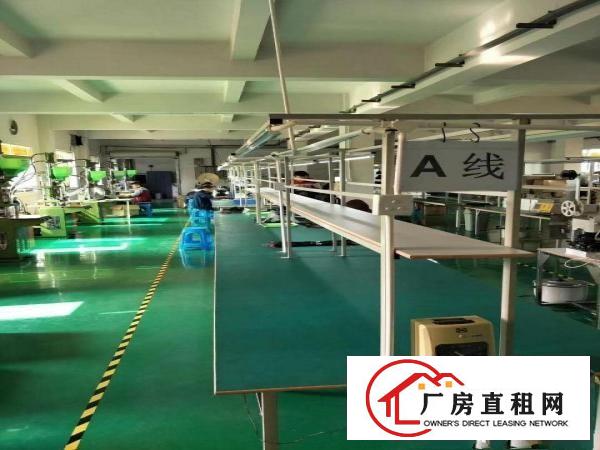  厚街精品小独院5900方厂房仓库可分租