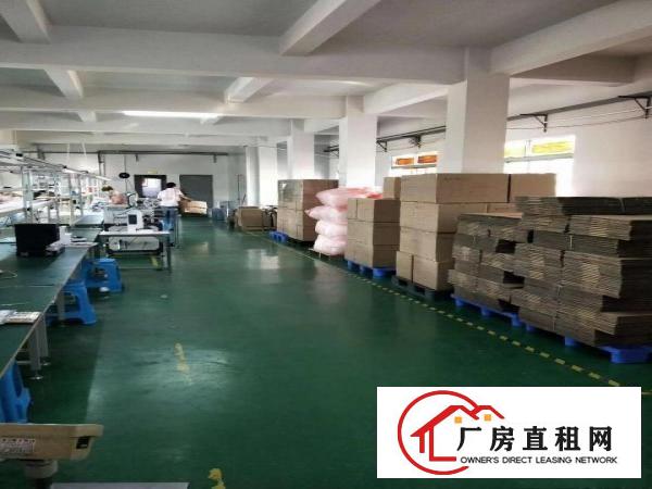  厚街精品小独院5900方厂房仓库可分租