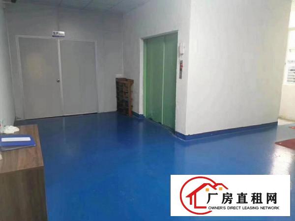  厚街新出楼上500平厂房水电齐全