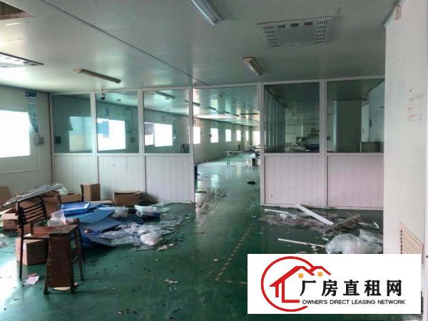  原房东现成喷漆环评！赤岭新出5000平方独院，园区超大空地