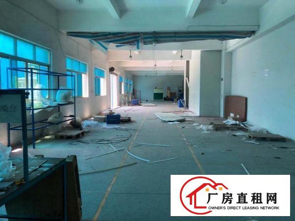  原房东现成喷漆环评！赤岭新出5000平方独院，园区超大空地