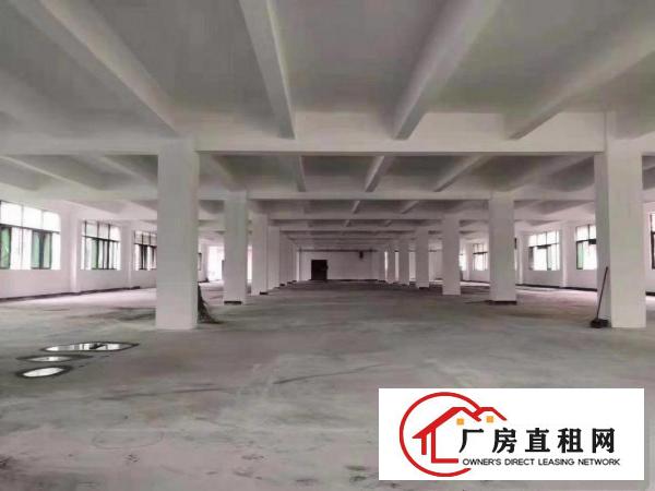  （花园式厂房）厂房一楼1900方出租