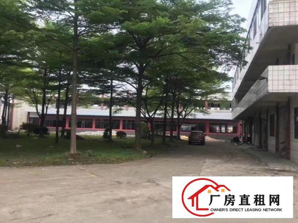  （花园式厂房）厂房一楼1900方出租
