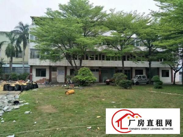  （花园式厂房）厂房一楼1900方出租