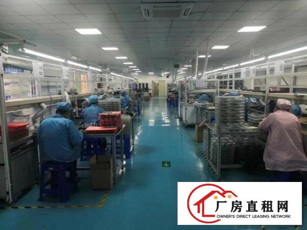  无尘车间看过来，手慢无