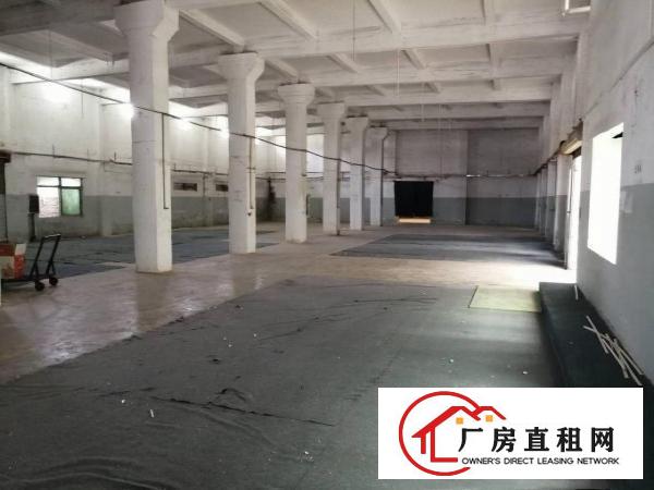  混凝土结构单一层1200平方高度5.5米现成办公室可做小污染