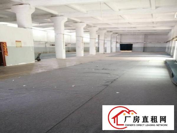  混凝土结构单一层1200平方高度5.5米现成办公室可做小污染