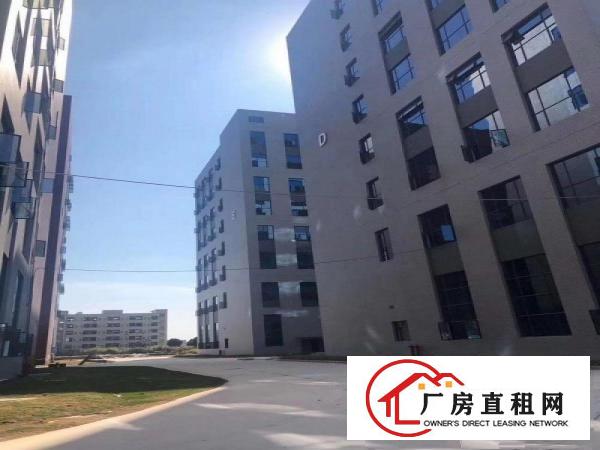  厚街独院厂房招租，总面积62000平方，超大空地
