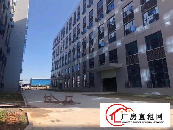  厚街独院厂房招租，总面积62000平方，超大空地