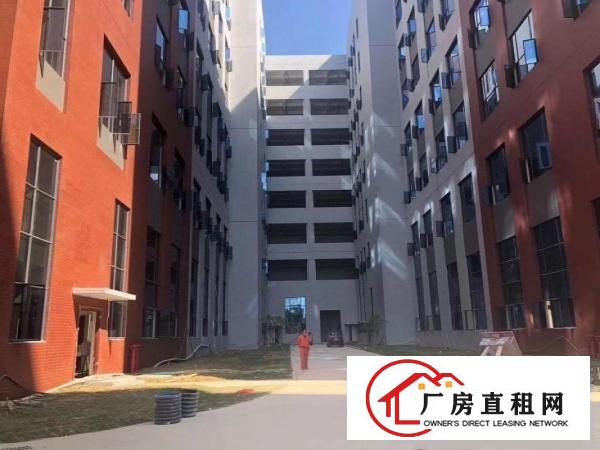  厚街独院厂房招租，总面积62000平方，超大空地