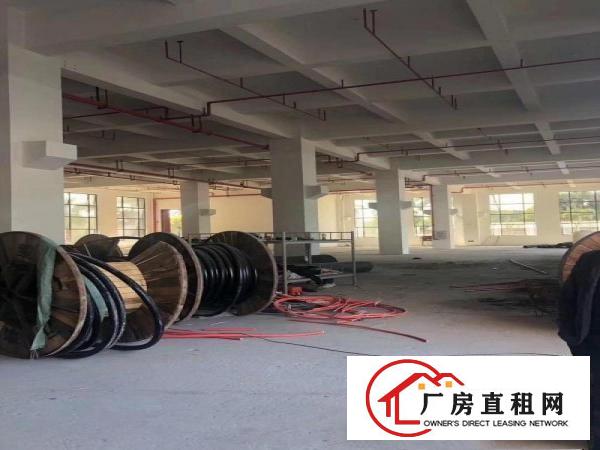  厚街独院厂房招租，总面积62000平方，超大空地