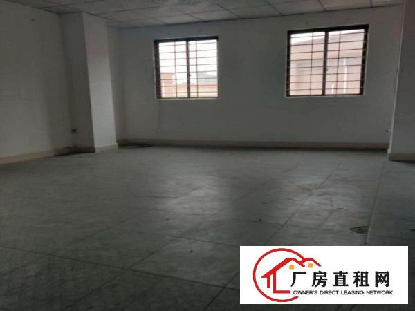  原房东给钱就租！楼上厂房水电齐全带电梯形象好