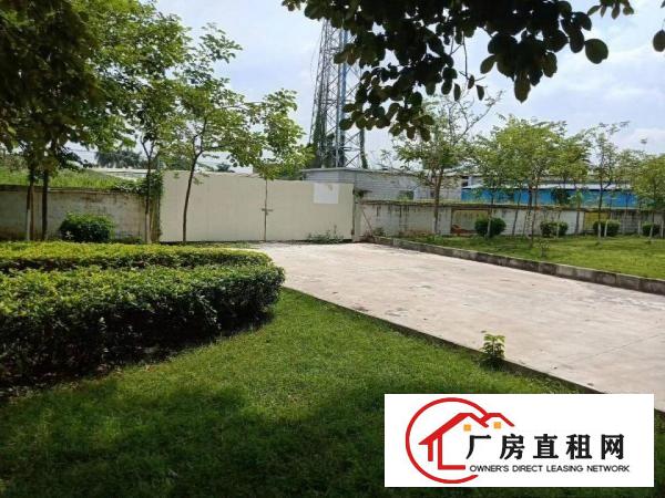  厚街独门独院厂房5000平，工业用地可办环评，空地大，绿化好