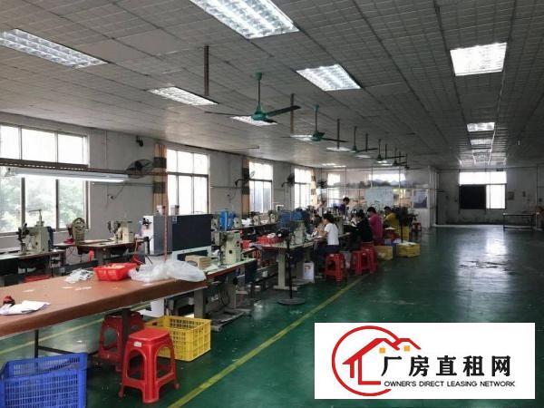  厚街独门独院厂房5000平，工业用地可办环评，空地大，绿化好
