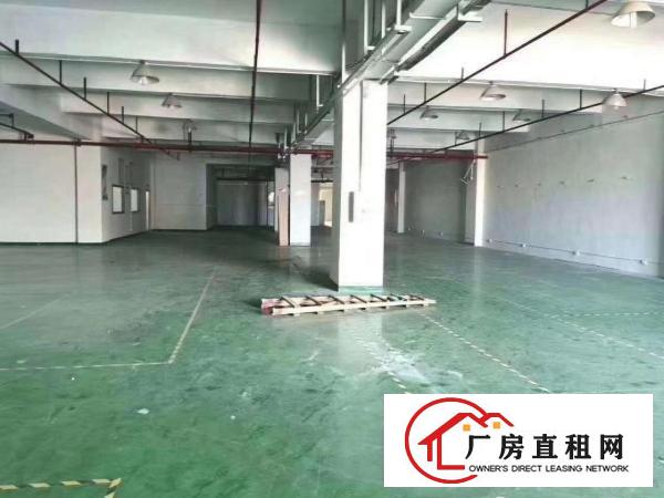  厚街独门独院厂房5000平，工业用地可办环评，空地大，绿化好