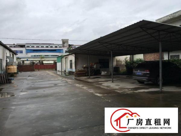  8.8平的厂房错过不再有！涌口全新单一层钢构厂房滴水9米