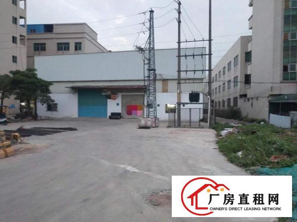  家具大道边上独院单一层2650平滴水8米空地大！