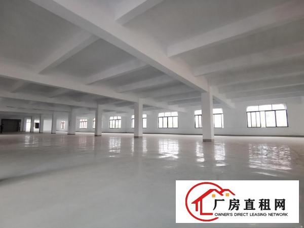  双岗新出1000方精装修厂房出租，可分租