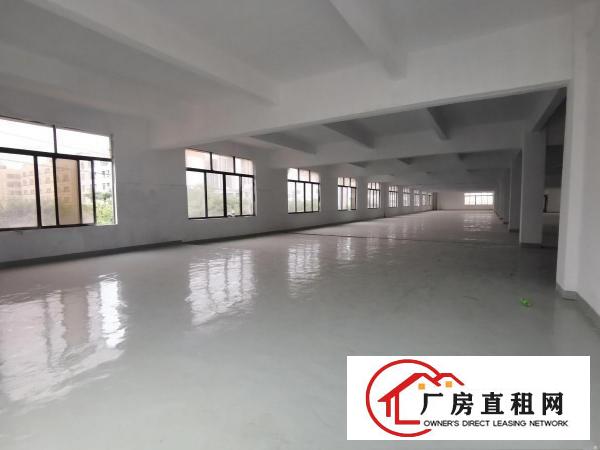  双岗新出1000方精装修厂房出租，可分租