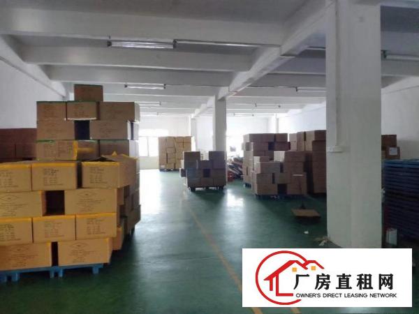  原房东直租精装修厂房