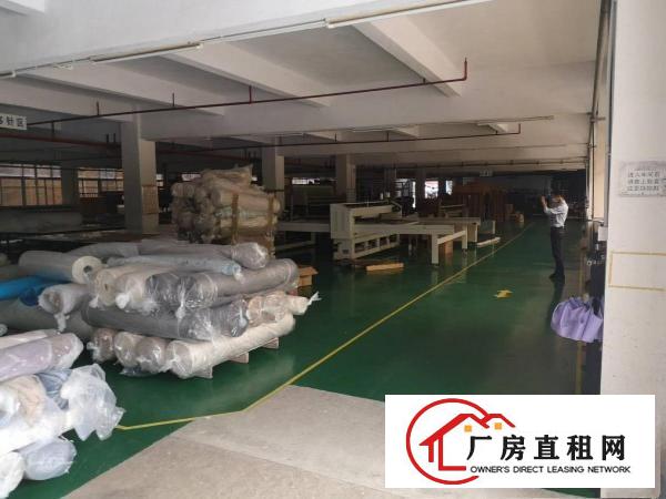  厚街新出带装修600方，1400方厂房仓库可分租