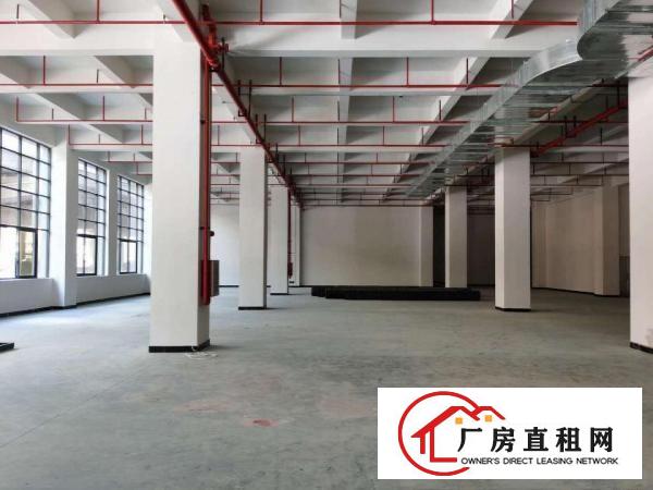  厚街全新一手房东工业厂房，带卸货平台空地大主干道旁,可办环评