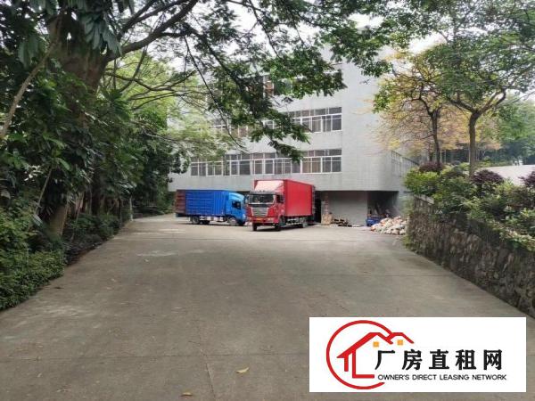  原房东独院四层6200方厂房仓库急租