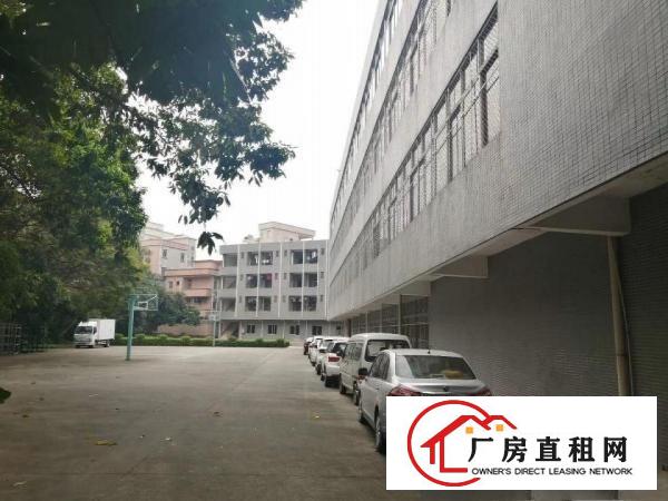 原房东独院四层6200方厂房仓库急租
