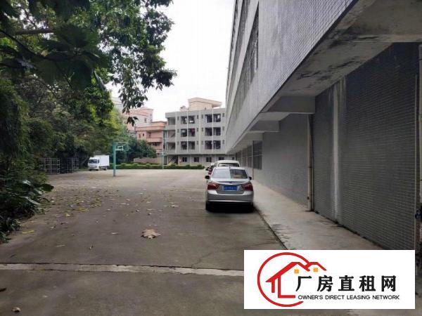  原房东独院四层6200方厂房仓库急租