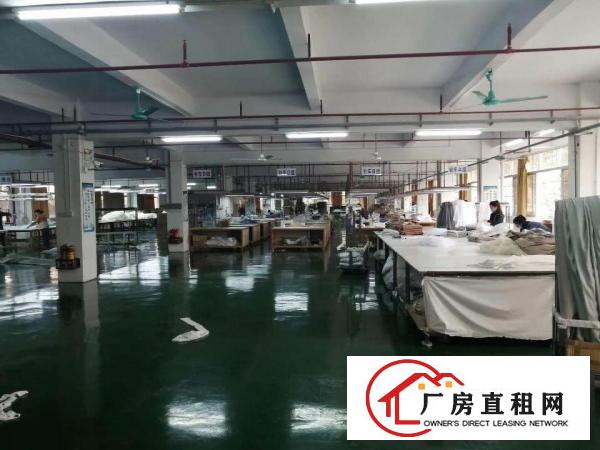  原房东独院四层6200方厂房仓库急租