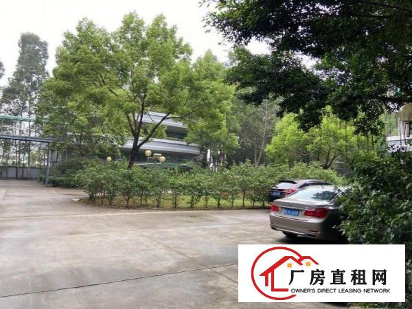  原房东直租1350实用率