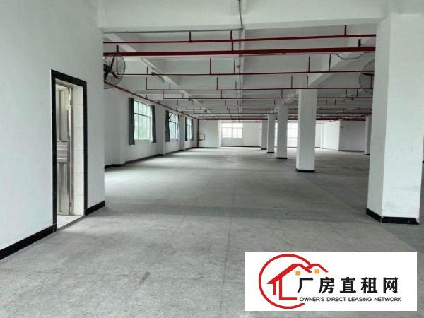  原房东直租1350实用率