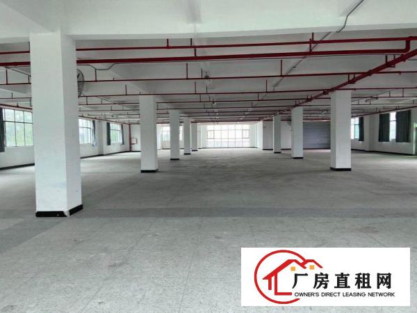  原房东直租1350实用率