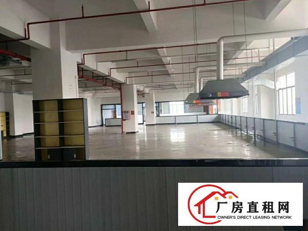  厚街陈屋地铁口新出三楼1200平豪华精装修厂房出租