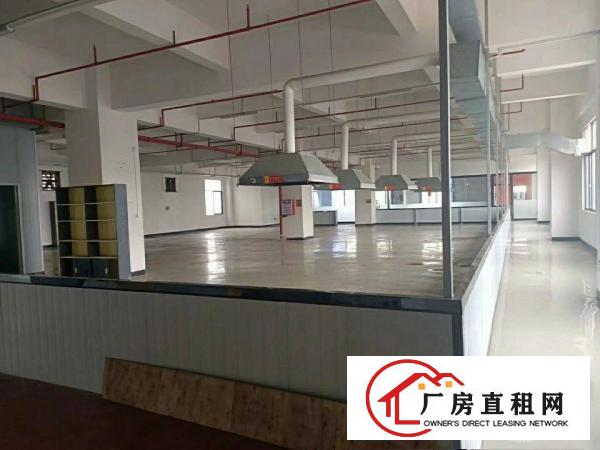  厚街陈屋地铁口新出三楼1200平豪华精装修厂房出租