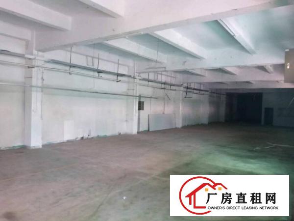  厚街新出1350平方带2个办公室厂房出租仓库出租
