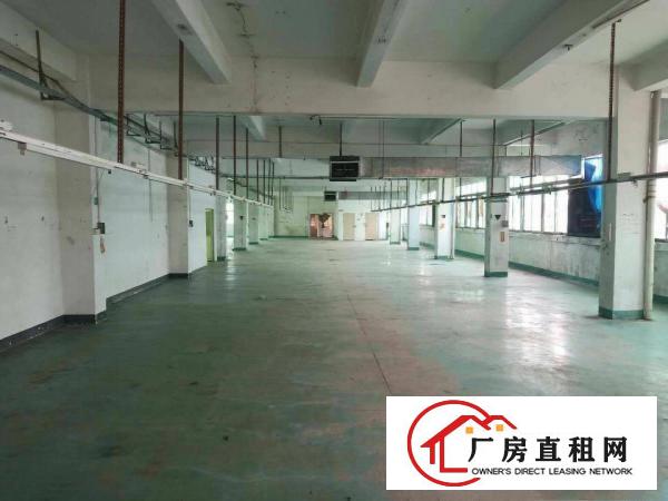  厚街新出1350平方带2个办公室厂房出租仓库出租