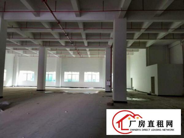  厚街陈屋新出标准一楼800平方带办公装修空地大