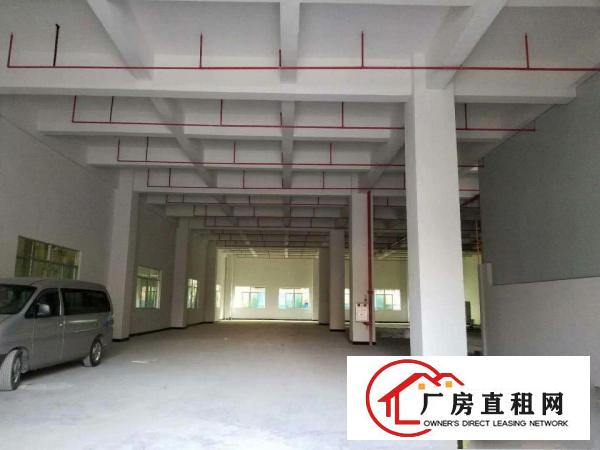  厚街陈屋新出标准一楼800平方带办公装修空地大