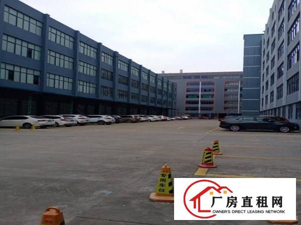  厚街桥头新出楼上1000平，带现成办公室装修